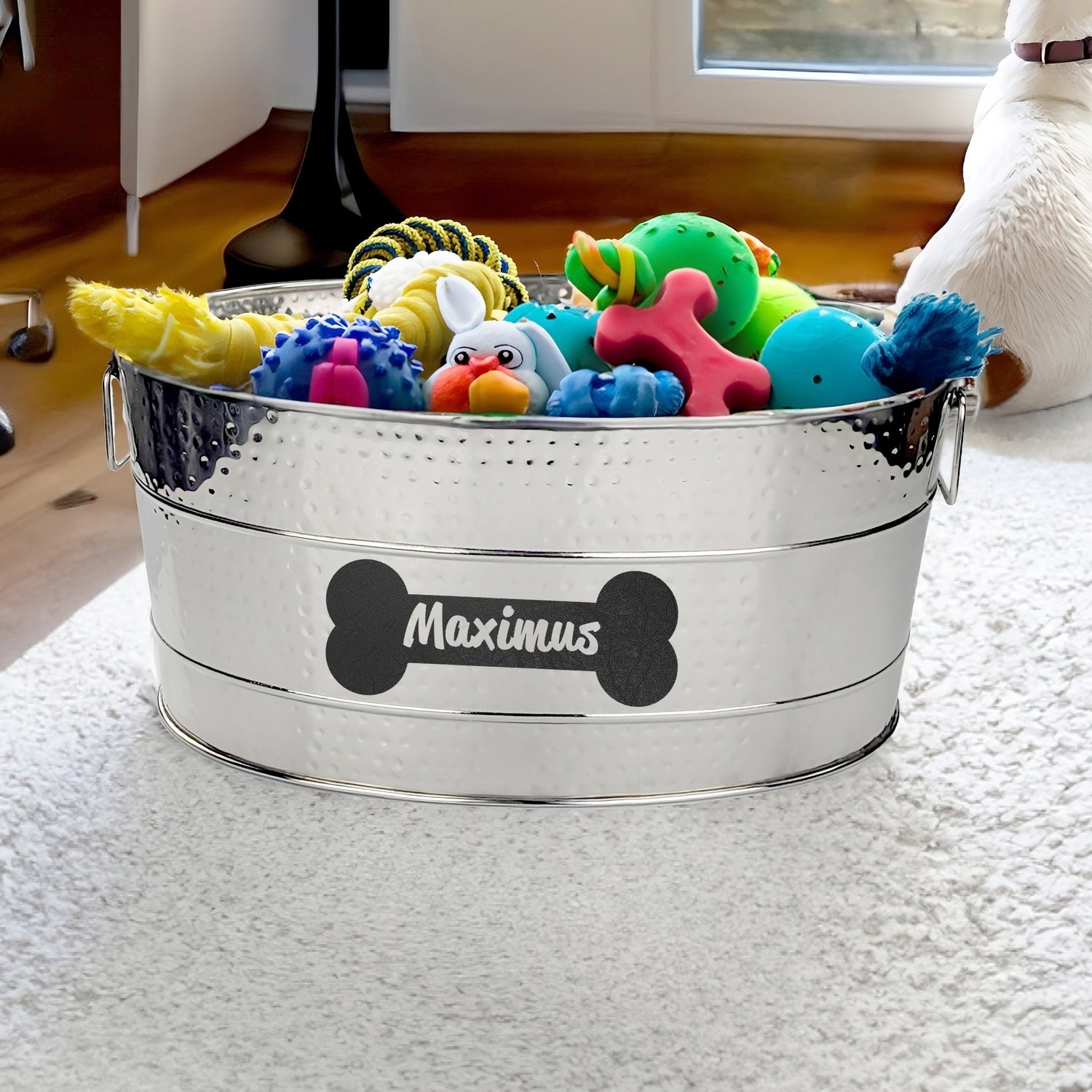 Large durable chew proof personalized dog toy bin or storage.  Pawprints or bone designs.  stainless steel