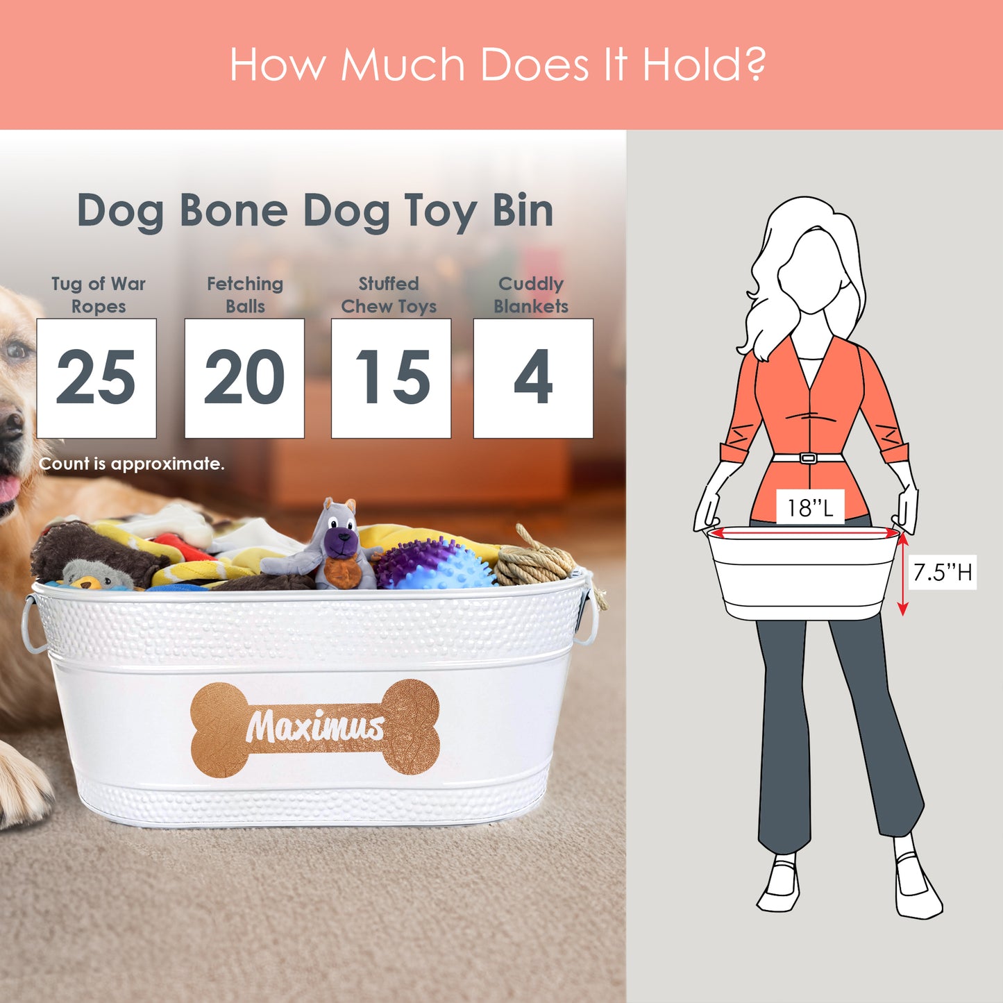 Medium durable chew proof personalized dog toy bin or storage.  Pawprints or bone designs