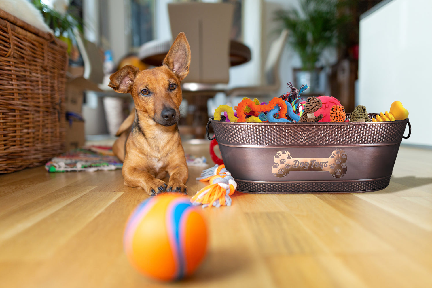Dog toy basket or bin for the living room or bedroom.  Made of durable and strong metal for dog damage free use.  Store all of the dog toys, treats, and bones.